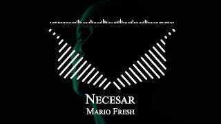 Mario Fresh - Necesar