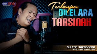 Download lagu Terlanjur Dilelara Tarsinah | Menari Diatas Luka | Sultan Trenggono mp3