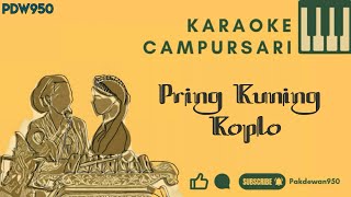 PRING KUNING SRAGENAN || KARAOKE || KOPLO