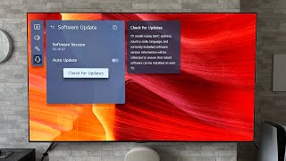 LG OLED update 03.30.67, Brightness & Black level issue!!!!!