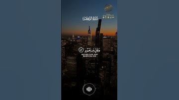 - ناصر القطامي تلاوة شجية من سورة الواقعة ( وَأَصْحَٰبُ ٱلشِّمَالِ مَآ أَصْحَٰبُ ٱلشِّمَالِ ) 🌹