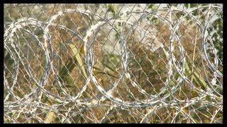 Hungary-Serbia Border Closed Europe Must Adopt A Common Asylum Policy