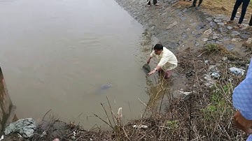 Câu được cá trắm đen ở sông dẫn trạm bơm Chợ Lương