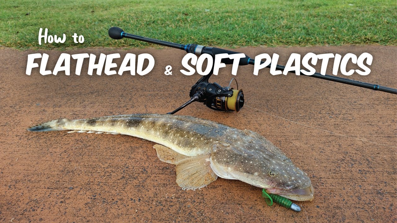 How to catch Flathead on Zman Soft Plastics - Redcliffe Fishing 