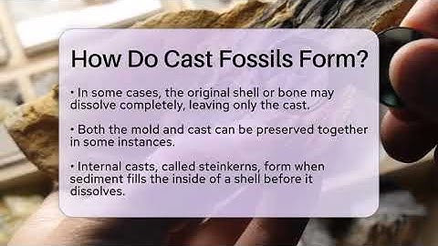 How Do Cast Fossils Form? - Earth Science Answers