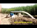 High Pressure Water Amazing Solar Tube Well System 10 Hp Monoblock Motor 5 inch Delivery