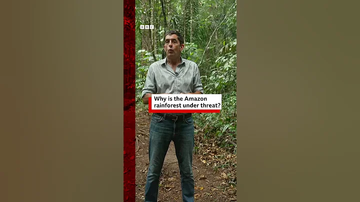 Why is the Amazon rainforest under threat? #Amazon #Rainforest #Brazil #COP30 #BBCNews