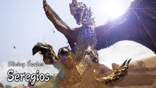 Revist MHRS: Master Rank Seregios (Part 23)