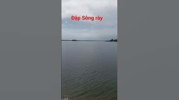 Câu cá ở đập Sông Rày, Xã Bàu Lâm, huyện Xuyên Mộc, Bà Rịa Vũng Tàu