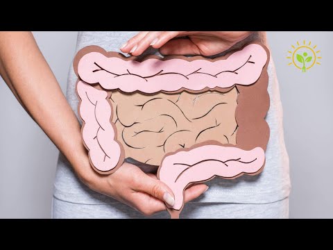 INTESTINO SAUDÁVEL, VAGINA SAUDÁVEL | DISBIOSE E A SAÚDE DA MULHER