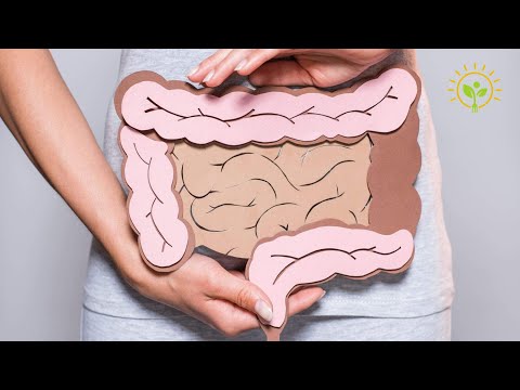 Vídeo: Disbiose Vaginal - Causas, Sintomas E Tratamento