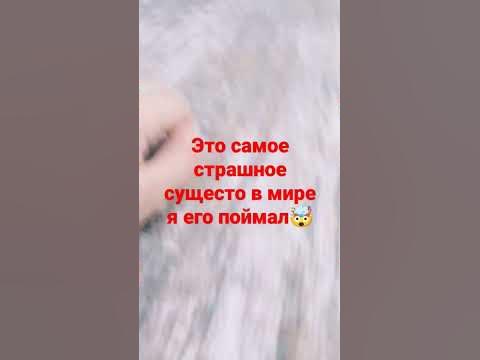 афигеть - YouTube