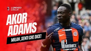 [SENTI SENTI 👂🏻] ADAMS PARLA E STRIZZA L'OCCHIO AL MILAN