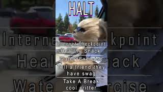 HALT: INTERNET CHECKPOINT