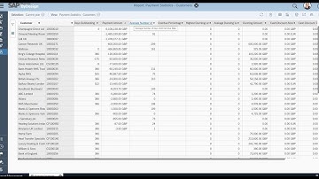 Reporting Payment Performance in SAP Business ByDesign DEMO