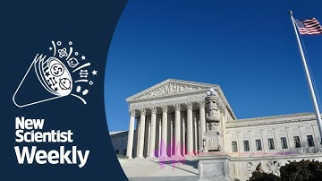 AI lawyer takes first court case | New Scientist Weekly podcast 157
