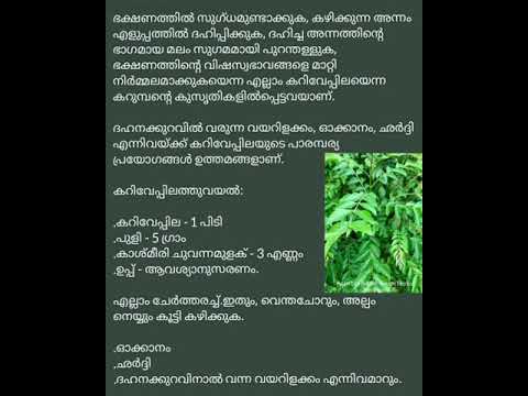 ഓക്കാനം, ശർദ്ദിൽ, ദഹനക്കുറവ് എന്നാൽ വന്ന് വയറിളക്കം എന്നിവ മാറുവാനായി കറിവേപ്പിലത്തുവയൽ.