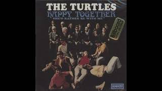The Turtles   Happy Together (Intro Outro ) DJ Torres Live