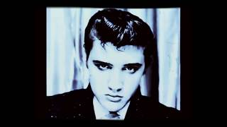 Elvis Presley Loving You.