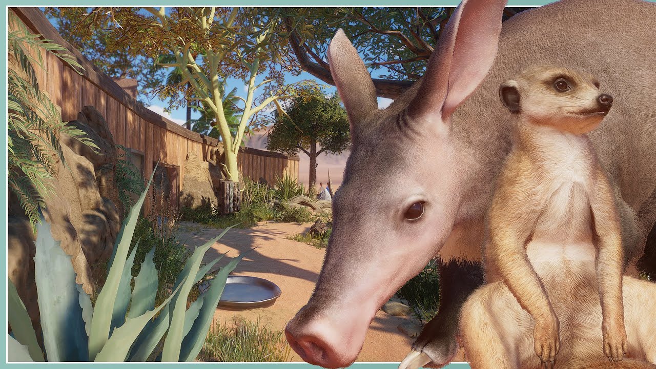 Meerkat Aardvark Habitat Mesa Gardens Zoo Planet Zoo Franchise meerkat-aardvark-habitat-mesa-gardens-zoo-planet-zoo-franchise