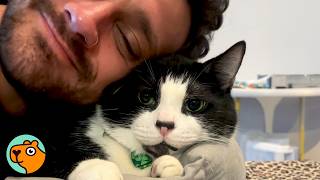 Rescue Cat Follows Dad Everywhere And Ignores Mom Cuddle Buddies