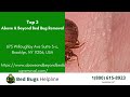 Top 3 Bed Bug Removal Companies in Happy Valley
