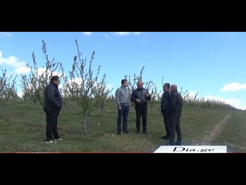 შეხვედრა შიდა ქართლში მცხოვრებ ფერმერებთან 29.04.2020