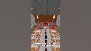 Minecraft CTM Speedrunners Discovered Immortality