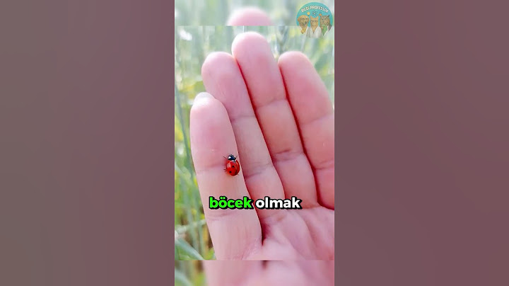 Böcek Boyutunda Olsaydın Başına Neler Gelirdi? 🐜🌧️😱