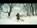 Белый Бим Чёрное ухо, Гавриил Троепольский #5 аудиосказка онлайн с картинками слушать