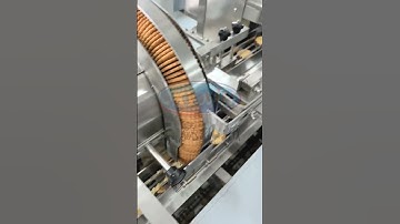 Skywin biscuits sandwiching machine connected to packing machine #shorts #cookies #machine  #factory