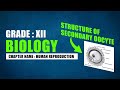Structure of Secondary Oocyte | CBSE 12 Biology | Explain Secondary Oocyte Diagram | Video Lecture