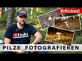 Pilze fotografieren im Wald - Tipps zur richtigen Belichtung beim Fotografieren im Wald