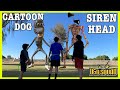 CARTOON DOG and SIREN HEAD FOUND US | D&D SQUAD