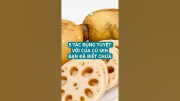 5 TÁC DỤNG TUYỆT VỜI CỦA CỦ SEN