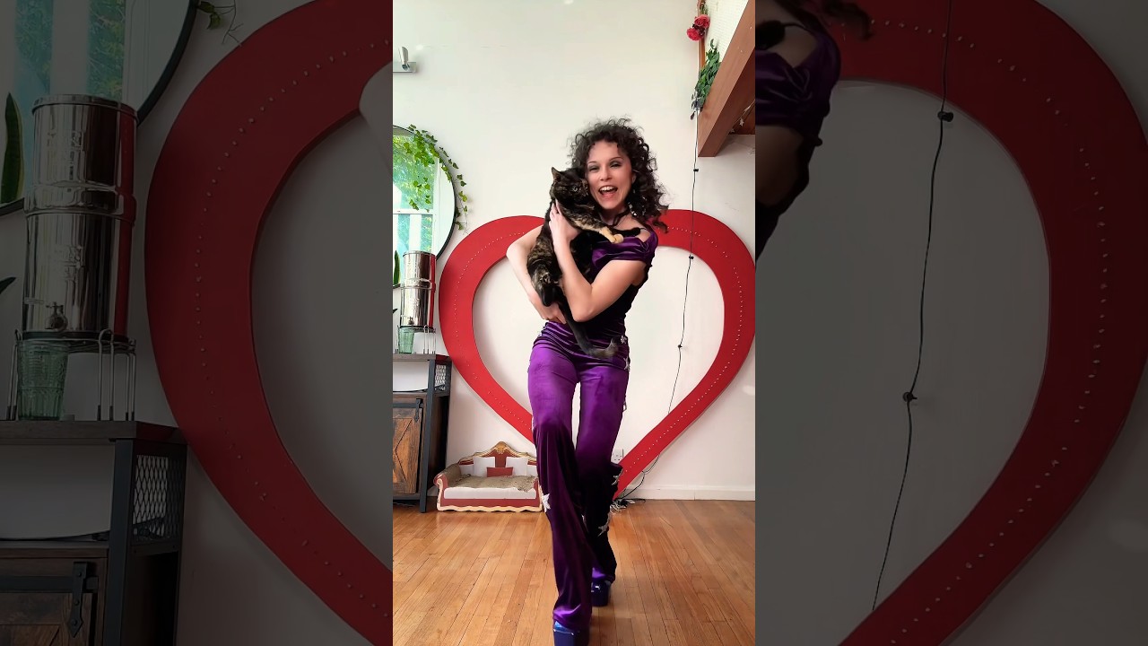 When your best friends are cats… 🐈🐈‍⬛AD #abba #transition #catlady