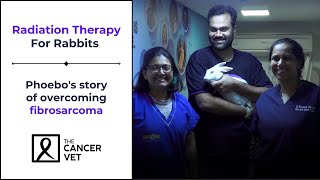 Radiation therapy for Rabbits: The Cancer Vet - Episode 02