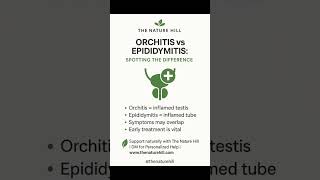 #MensHealth #Orchitis #Epididymitis #TesticularHealth #TheNatureHill #HolisticHealth