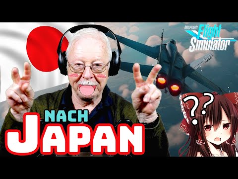 PRO-PILOT versus the artists in Microsoft Flight Simulator
