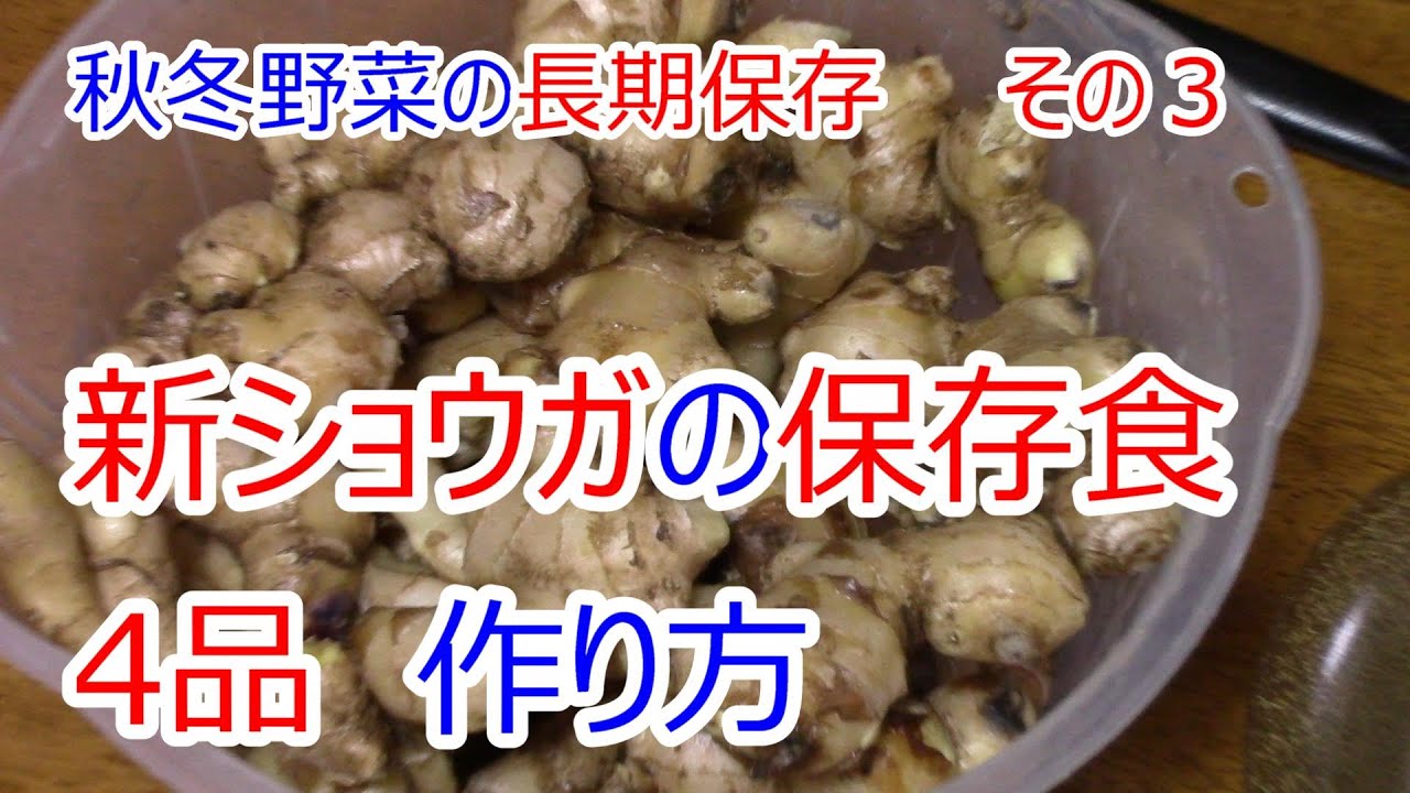 秋冬野菜 長期保存方法 その３ ショウガ保存食4品 作り方 Youtube