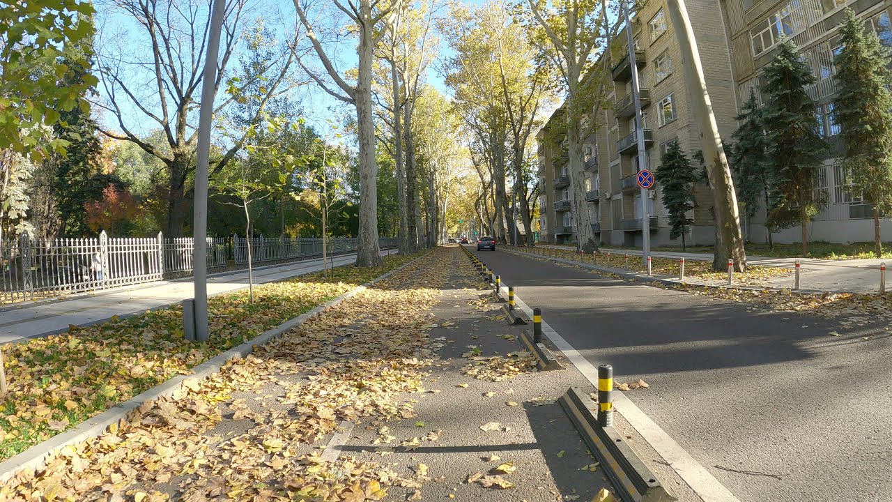 26.10.25 Воскресный Кишинёв. Велодорожки, листики