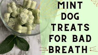 DIY Breath Mints For Dogs | Dog Treat Recipe For Bad Breath