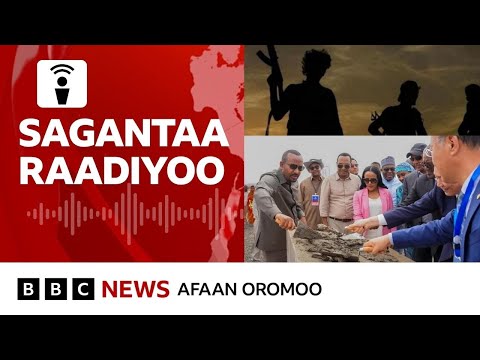 Ministirri Muummee Abiy Ahimad Nageenyaa Fi Misooma Keessaa Waan Mootummaansaanii Filatu Ibsan