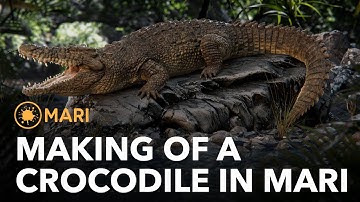The Making of a Photo-realistic Crocodile in Mari
