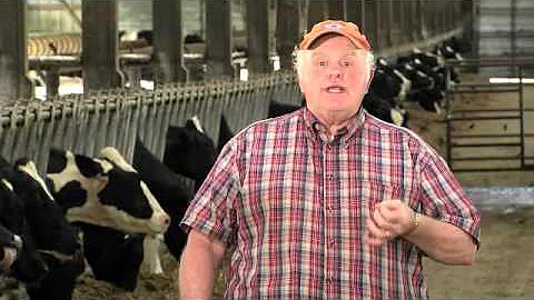 Dairy Farming FAQ - Organic milk and milk from grass-fed cows