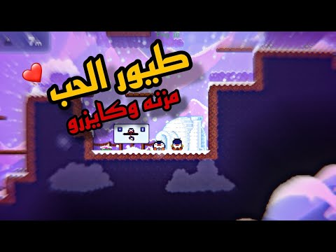 Bread & Fred - !! طيور الحب