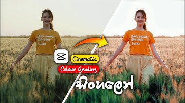 Capcut Colour Grading | Video Colour Grading In Capcut | Capcut Cinematic Colour Grading Sinhala