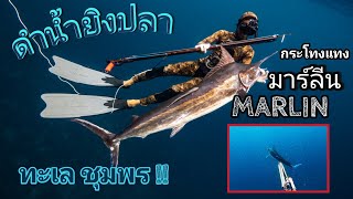 พิชิตมาร์ลีน !! ดำน้ำยิงปลากระโทงแทง Marlin ทะเลชุมพร!!