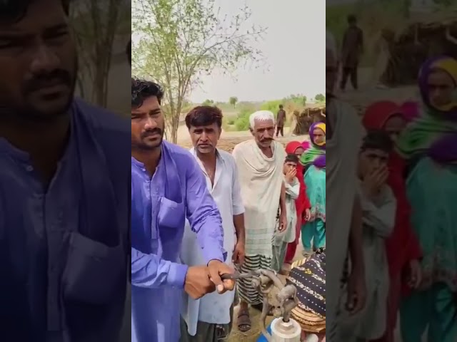 WATER PUMP FFPS-5256 IS OPERATIONAL | FFPS WATER FOR ALL PROGRAM |PAKISTAN #charity #pakistan #water