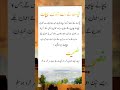 Qayamat ka dan tamahari pahichan#quotes #shorts #islam #islamic